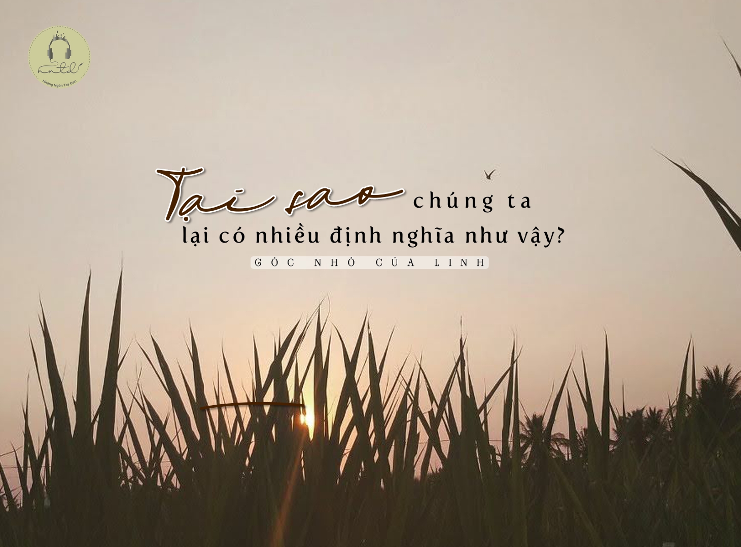 Thiết kế: Hồng Nhật - Ảnh: Sưu tầm