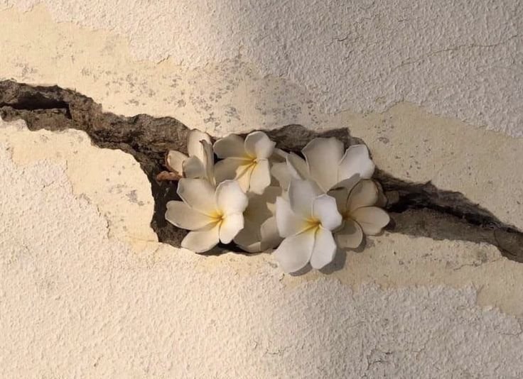 Thiết kế: Hồng Nhật - sưu tầm