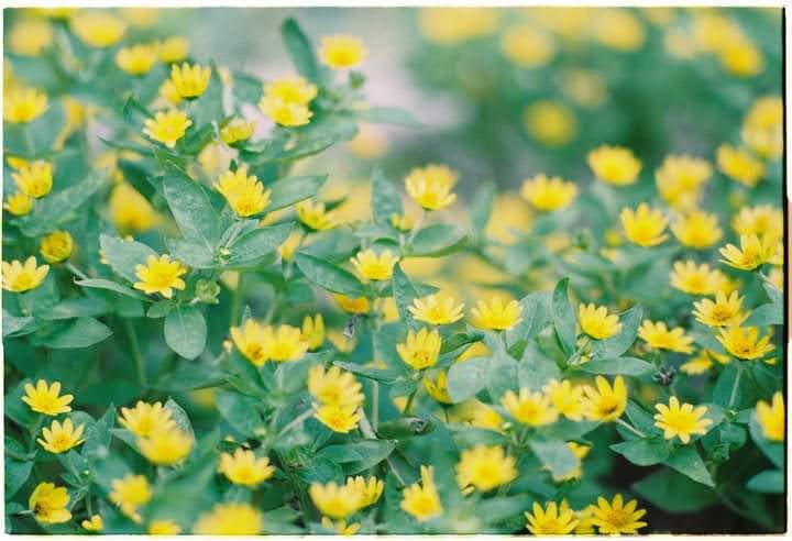 📸: Xuân Trường