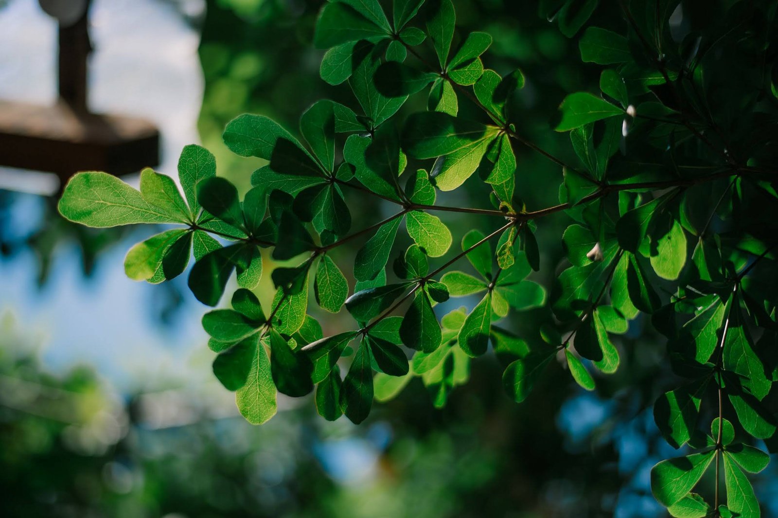 📸: Hồ Duy Đăng