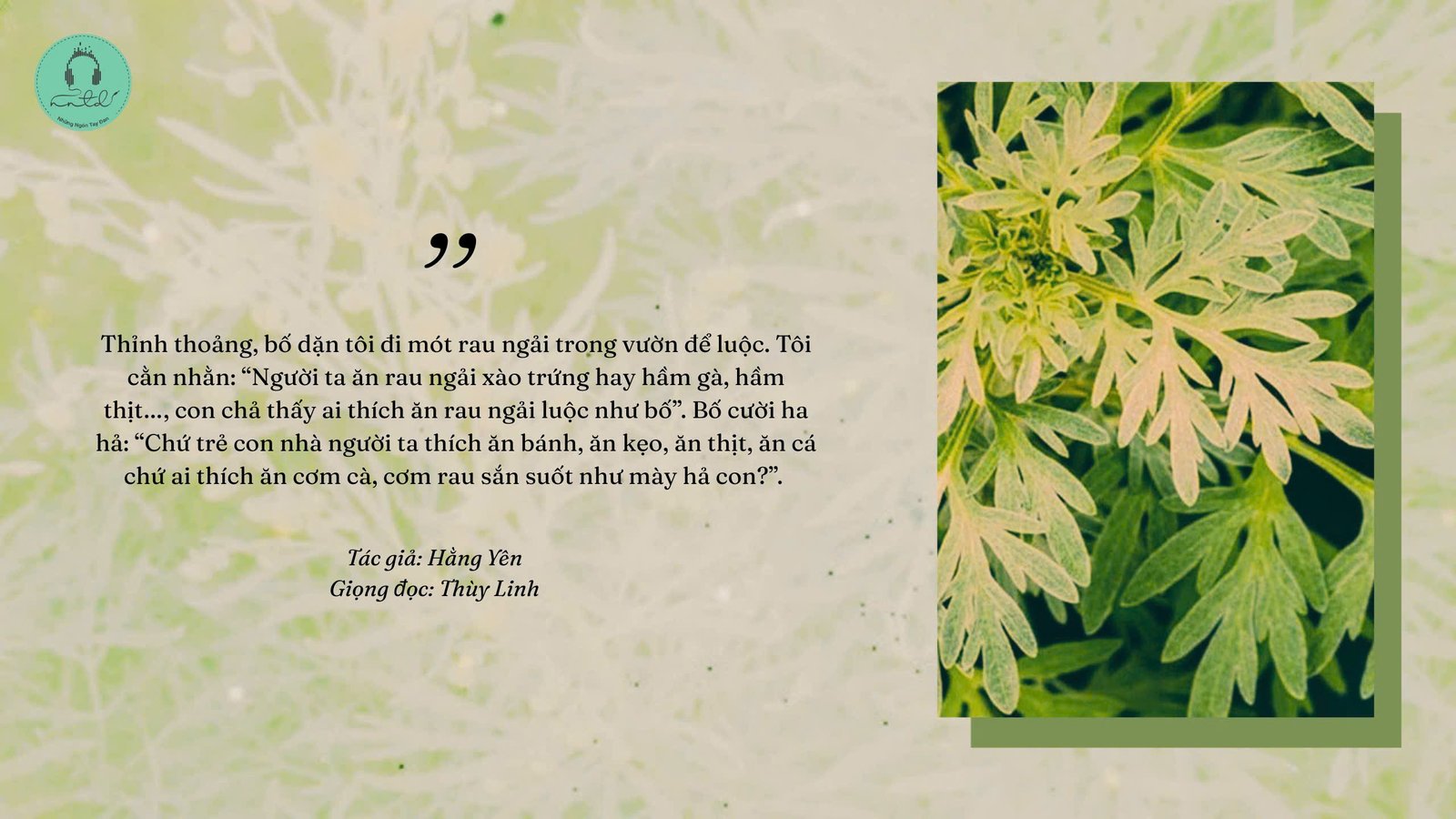 Thiết kế: Hồng Nhật - Anh Thư