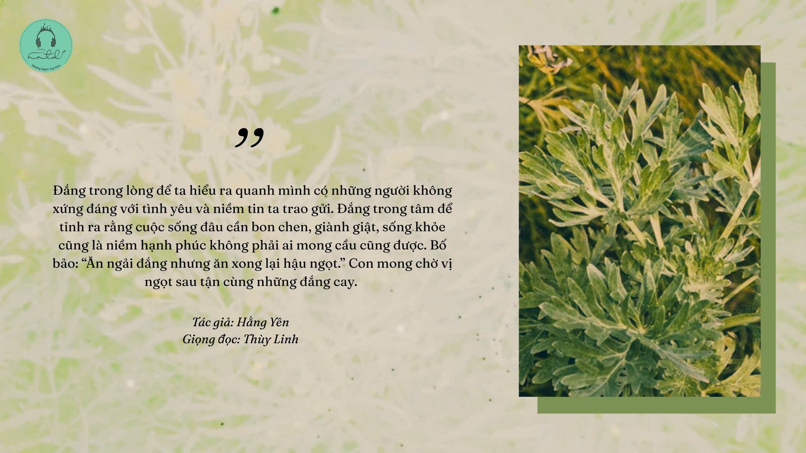 Thiết kế: Hồng Nhật - Anh Thư