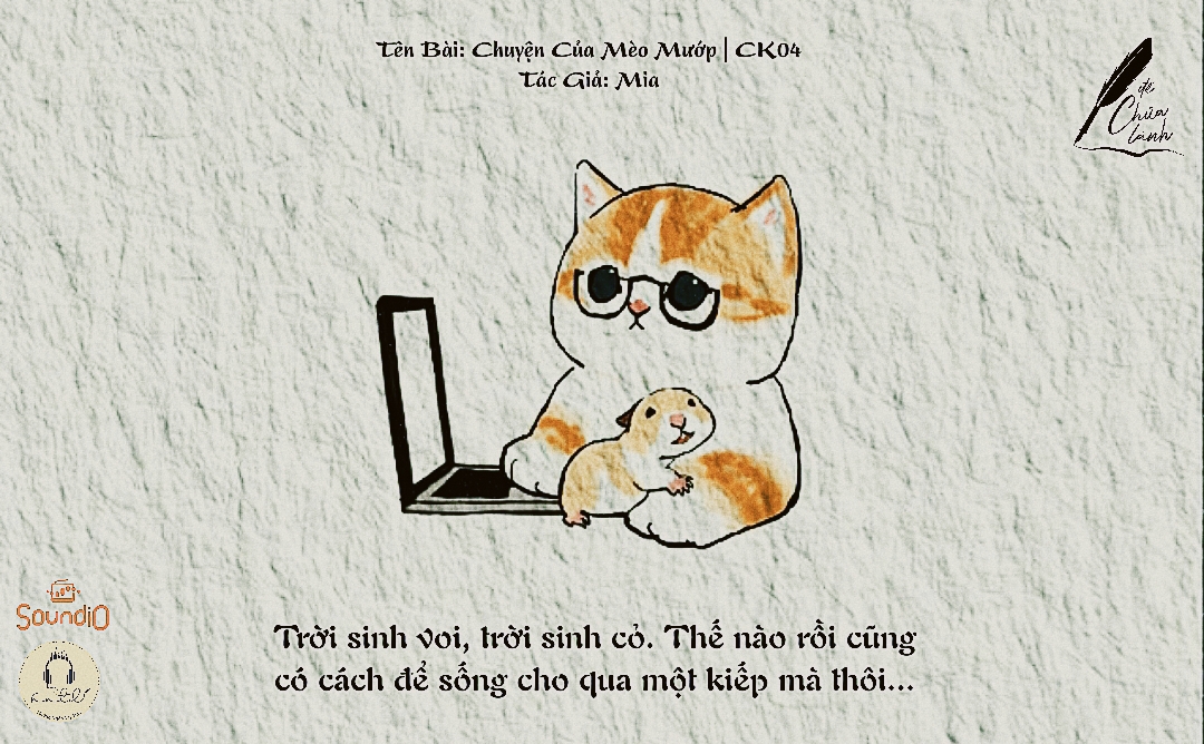 Thiết kế: Anh Thư - Ảnh: Sưu tầm