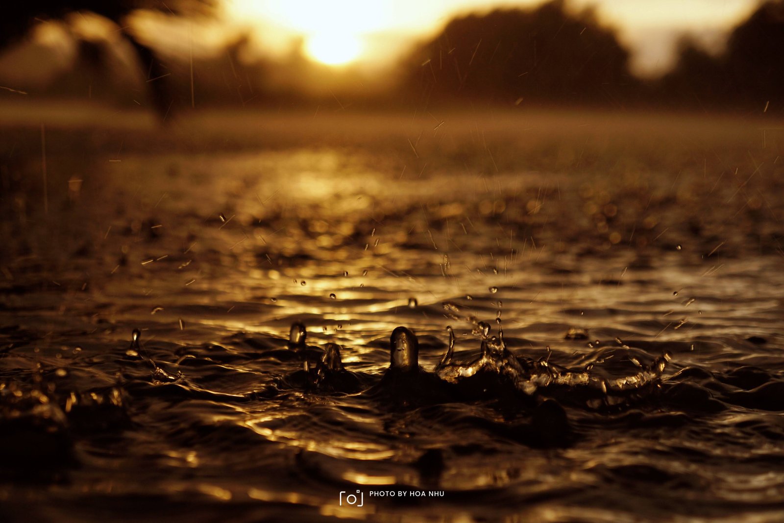 📷: Dương Hòa Nhu