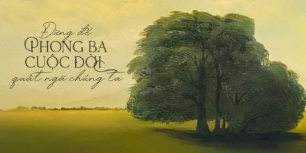 TK: Hồng Nhật