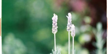 📸: Hồ Duy Đăng