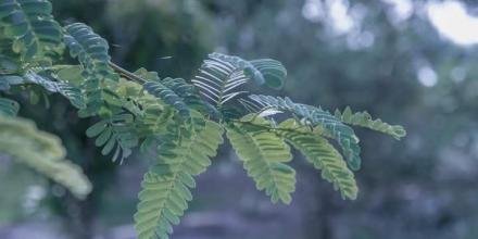 📸: Dương Hòa Nhu