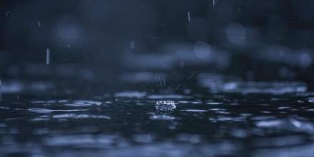 📸: Dương Hòa Nhu