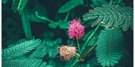 📸: Phương Thúy