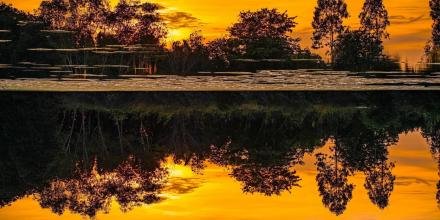 📸: Dương Hòa Nhu