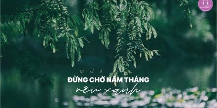 Thiết kế: Hồng Nhật 