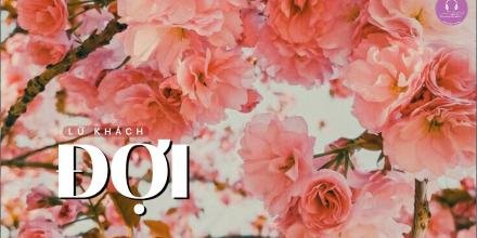 Thiết kế: Hồng Nhật 