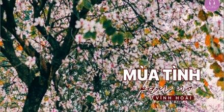 Thiết kế: Hồng Nhật 