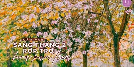 Thiết kế: Hồng Nhật 