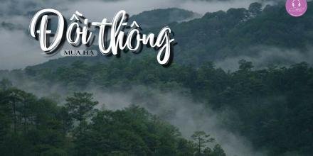 Thiết kế: Hồng Nhật