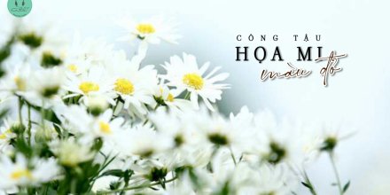 Thiết kế: Hồng Nhật - Ảnh: Sưu tầm