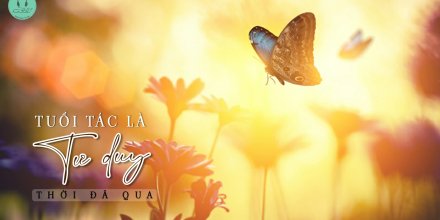 Thiết kế: Hồng Nhật - Ảnh: Sưu tầm