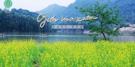 Thiết kế: Hồng Nhật - Ảnh: Sưu tầm