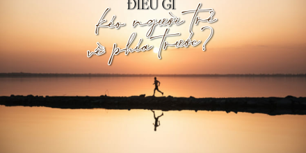 Thiết kế: Hồng Nhật - Ảnh: Sưu tầm