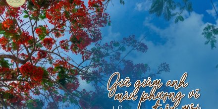 Thiết kế: Hồng Nhật - 📸: Lê Anh Thư