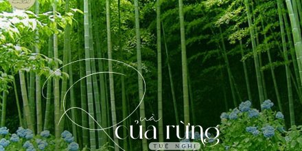 Thiết kế: Hồng Nhật - Ảnh: Sưu tầm