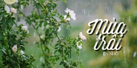 Thiết kế: Hồng Nhật - Ảnh: Sưu tầm