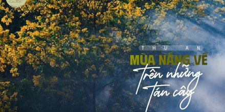 Thiết kế: Hồng Nhật - Ảnh: Sưu tầm