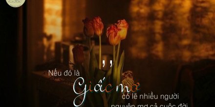 Thiết kế: Hồng Nhật - Ảnh: Sưu tầm