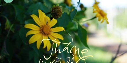 Thiết kế: Hồng Nhật - Ảnh: Sưu tầm