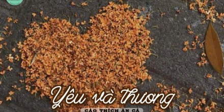 Thiết kế: Hồng Nhật - 📸: Sưu tầm