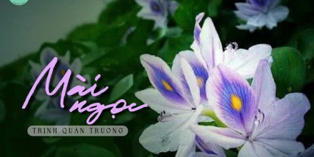 Thiết kế: Hồng Nhật - Ảnh: Sưu tầm