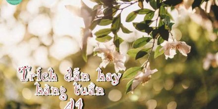 Thiết kế: Hồng Nhật - Ảnh: Sưu tầm