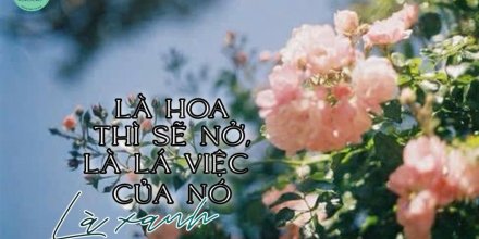 Thiết kế: Hồng Nhật - 📸: Sưu tầm