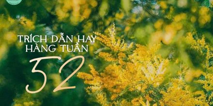 Thiết kế: Hồng Nhật - Ảnh: Sưu tầm