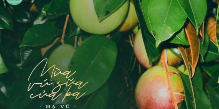 Thiết kế: Hồng Nhật - Ảnh: Sưu tầm