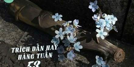 Thiết kế: Hồng Nhật - Ảnh: Sưu tầm