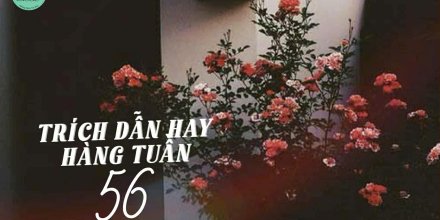 Thiết kế: Hồng Nhật - 📸: Sưu tầm
