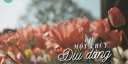 Thiết kế: Hồng Nhật - 📸: Sưu tầm