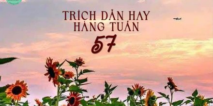 Thiết kế: Hồng Nhật - 📸: Sưu tầm