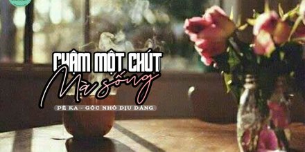 Thiết kế: Hồng Nhật - 📸: Sưu tầm