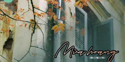 Thiết kế: Hồng Nhật - 📸: Sưu tầm