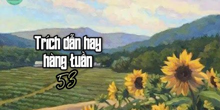 Thiết kế: Hồng Nhật - 📸: Sưu tầm