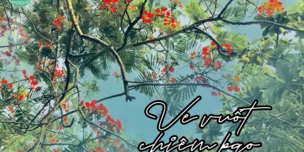 Thiết kế: Hồng Nhật - 📸: Sưu tầm