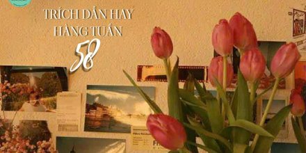 Thiết kế: Hồng Nhật - Ảnh: Sưu tầm