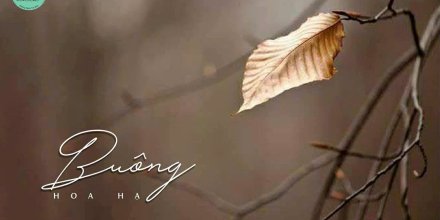 Thiết kế: Hồng Nhật - Ảnh: Sưu tầm