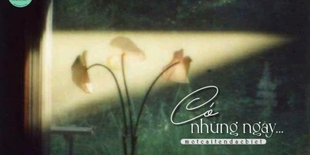 Thiết kế: Hồng Nhật - 📸: Sưu tầm