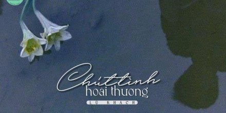 Thiết kế: Hồng Nhật - 📸: Sưu tầm