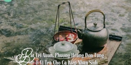 Thiết kế: Hồng Nhật - 📸: Sưu tầm