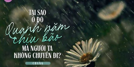 Thiết kế: Hồng Nhật - 📸: Sưu tầm