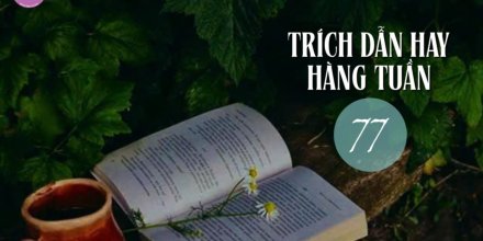 Thiết kế: Hồng Nhật - 📸: Sưu tầm